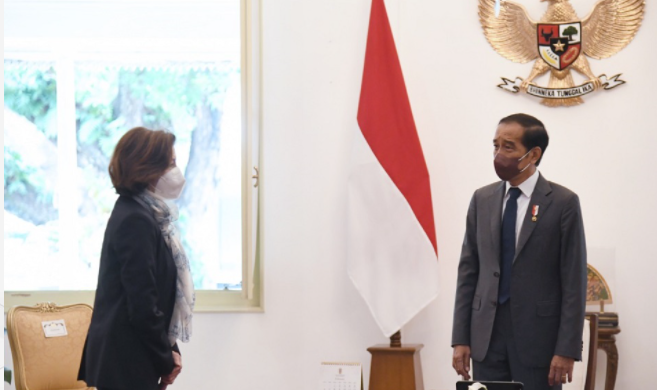 Indonesia Ingin Kerja Sama Pertahanan RI-Perancis Tak Hanya Fokus pada Alutsista